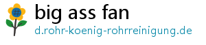 big ass fan